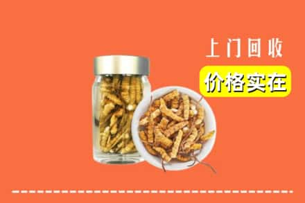 高价收购:昆明石林县上门回收散虫草